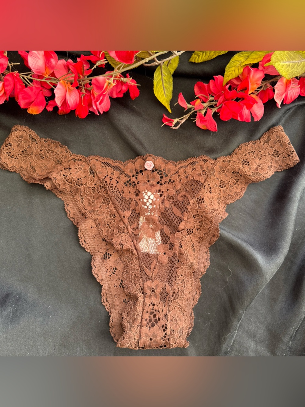 VICTORIA'S SECRET M Brown HIGH LEG BRAZILIAN LACE THONG PANTIES BOW LACE NWT